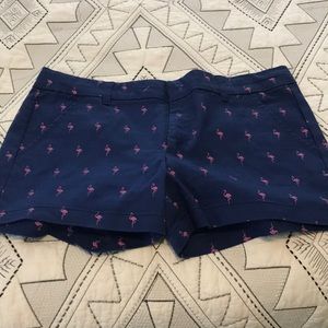 Flamingo Shorts